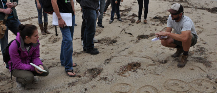 Ecology & Evolutionary Biology graduate student, Tim Brown interprets animal tracks on the beach with a UCSC Ecology class.